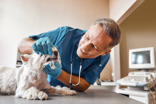 Best Pediatric Emergency Dentist in Laguna Woods, CA